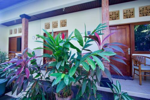 Bed & Breakfast Jepun Bali Homestay Sanur