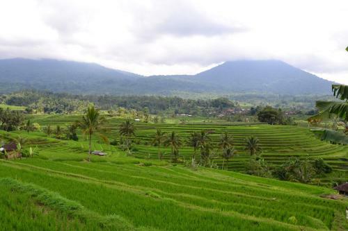 Bed & Breakfast Bhuana Agung