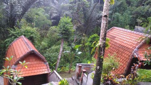Hotel Bali Jungle Huts