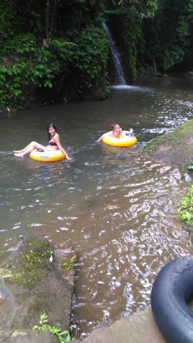 Hotel Bali Jungle Huts