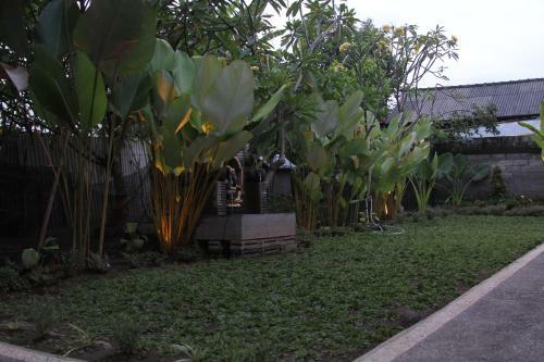 Hostal Damar House