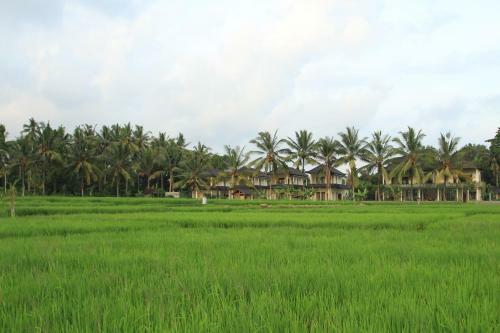 Hotel Uma Capung Mas Cottage