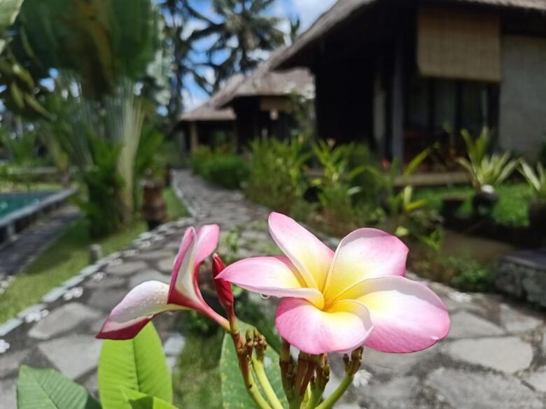 Taman Bintang Villa Ubud