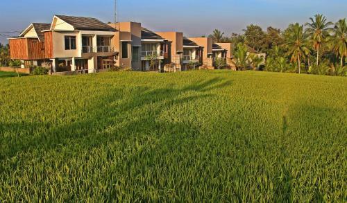 Green Fields Luxury Villas