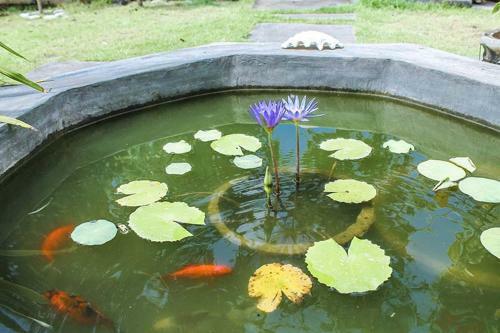 Bed & Breakfast 2 Angels Homestay