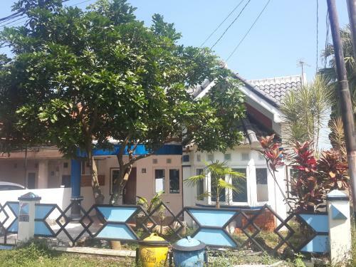 Mardi Homestay