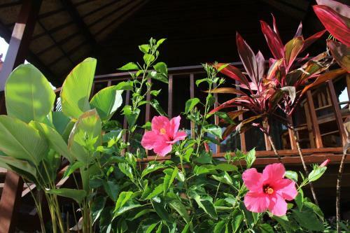 Hostal Pattri Garden Lembongan