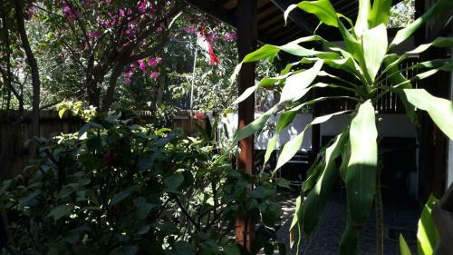 Bed & Breakfast Dili Gili
