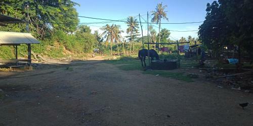 Lodge Batu Homestay