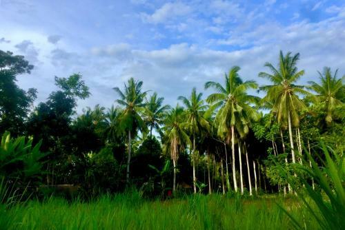 Chemel Homestay
