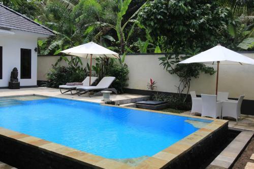 Villa Kupu Kupu Lovina