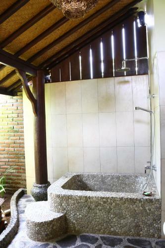 Villa Dolphin Lovina Beach