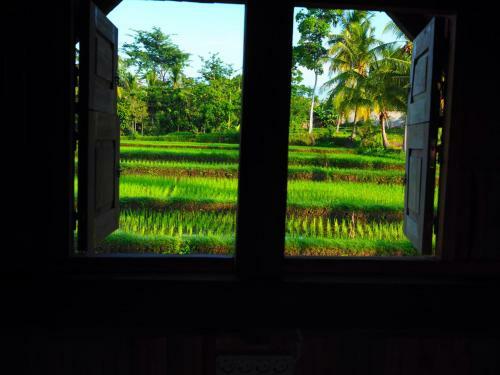 Paddy Hills Homestay