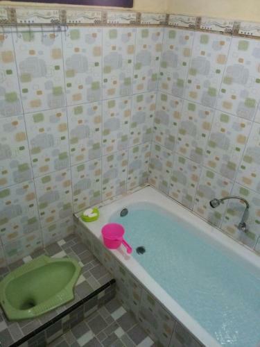 Hostal Sophie's Guesthouse