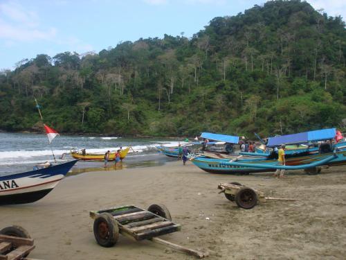 Thalia Homestay