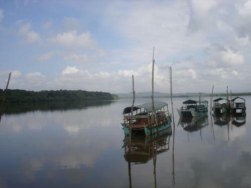 Thalia Homestay