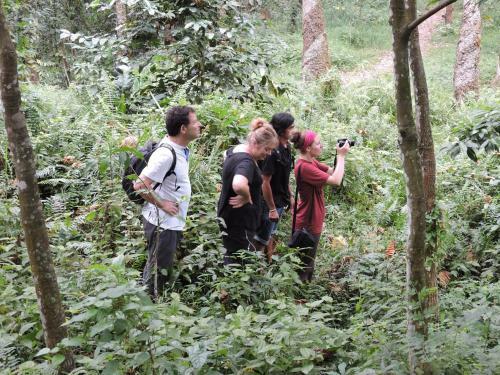 Albergue Batu Kapal Conservation Sanctuary
