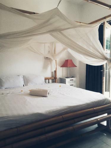 Hostal Sleepy Gecko Guesthouse