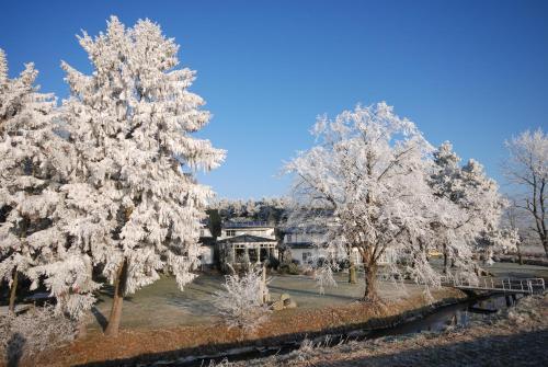 Hotel-marks-garni