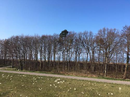 Apartamento Villa Strandblick 5