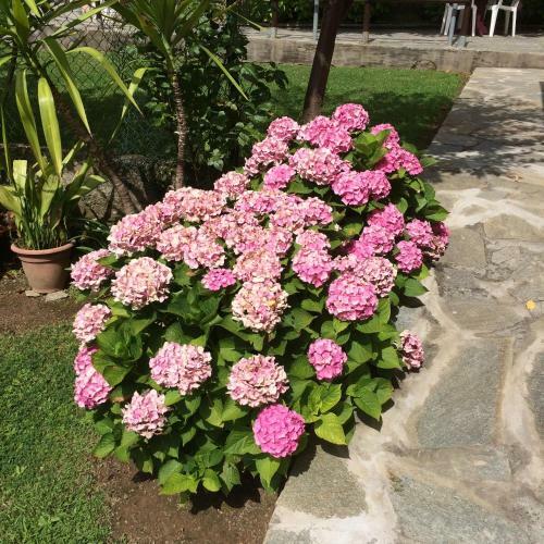Bed & Breakfast Locanda Da Marco