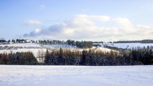 Apartamento "astenperle" Am Skilift Sahnehang