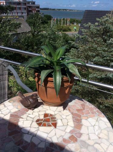 Apartamento Ferienwohnung *studio*
