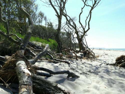 Apartamento Zwischen Meer & Bodden App 25 Qm
