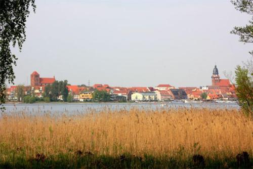 Ferienhaus Waren See 7481