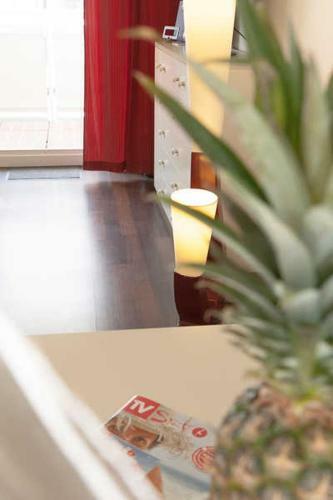 Apartamento Ad7-21 Friesenjung