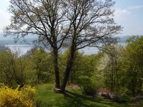 Apartamento Ferienwohnungen Friedrichs