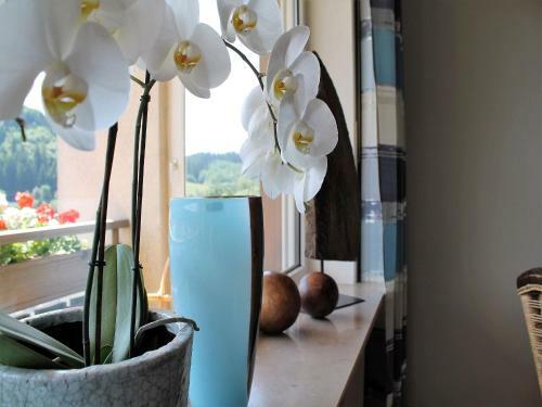 Apartamento Ferienwohnung Schwarzwaldgl�ck