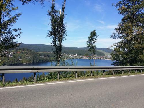 Apartamento Schwarzwald - Villa Appartments Titisee