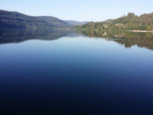 Apartamento Schwarzwald - Villa Appartments Titisee