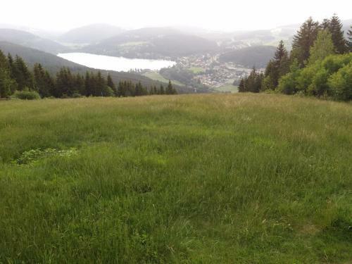 Apartamento Schwarzwald - Villa Appartments Titisee