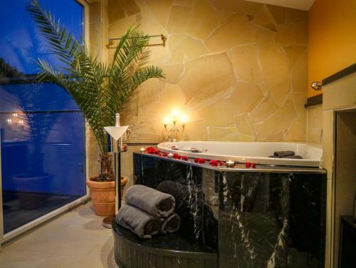 Aparthotel Malina Luxury Apartments & Spa