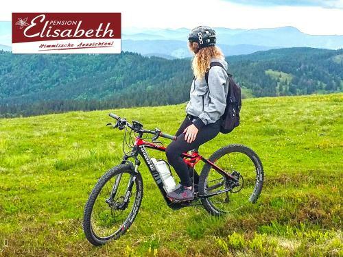 Hostal Pension Elisabeth