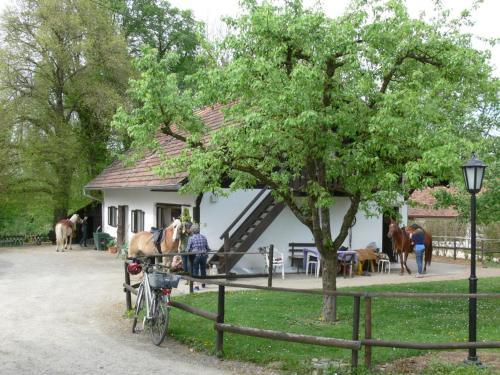 Apartamento Birkenhof Trepte