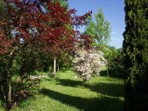 Apartamento Ferienwohnung Brigid
