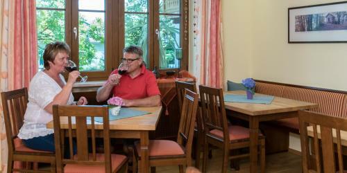 Hostal Pension Zum Ebenstein Am Donausteig