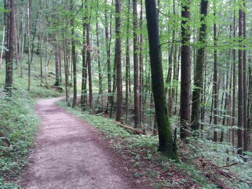 Apartamento Landhaus Fuchs
