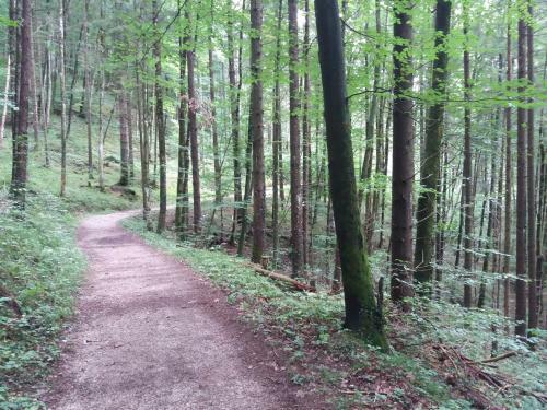 Apartamento Landhaus Fuchs