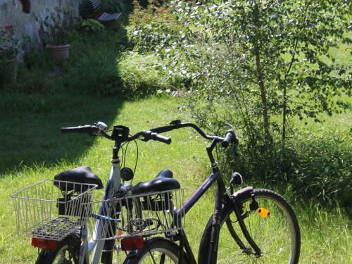 Apartamento Steffen Plus