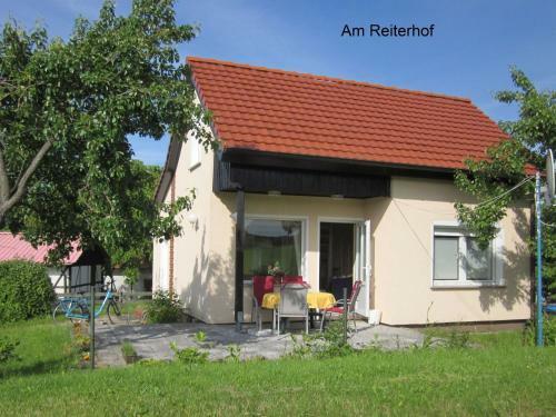 Waldblick In Steffenshagen