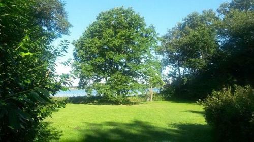Apartamento Haus-am-wald-wohnung-eg