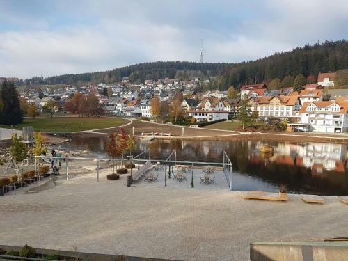 Apartamento Wohnanlage Schwarzwald-blick