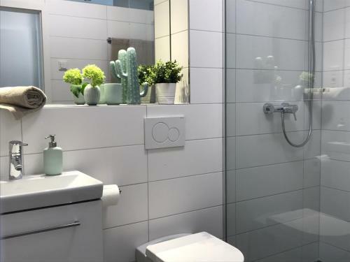 Apartamento Nauwieser50