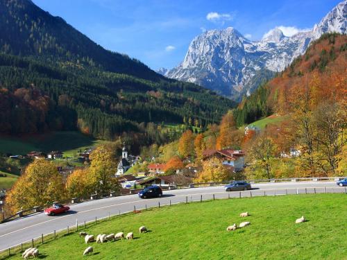 Apartamento Ferienwohnungen Haus Hirschpoint