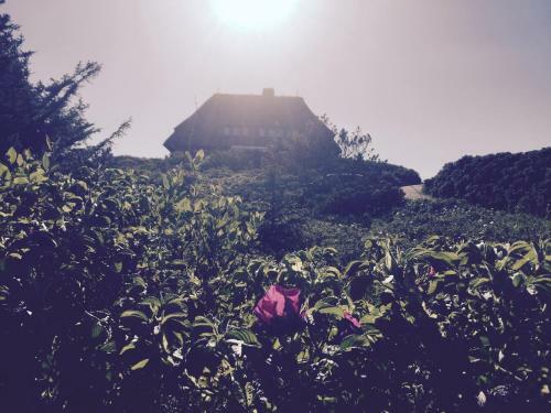 Apartamento Rantum, D�nenlage
