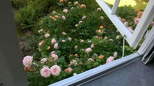 Apartamento Ferienwohnungen Haus Fuchs